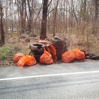 photo 1584626991474 29ea3228da8c